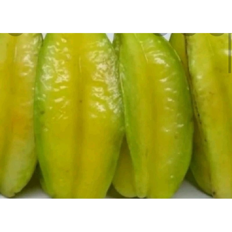 

Buah Belimbing Fresh
