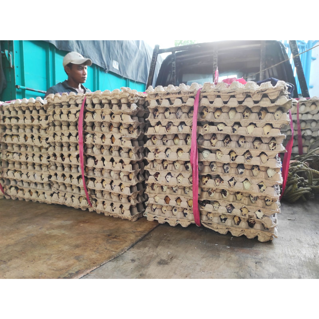 

RB TELUR PUYUH MIKA ISI 30 HENMART