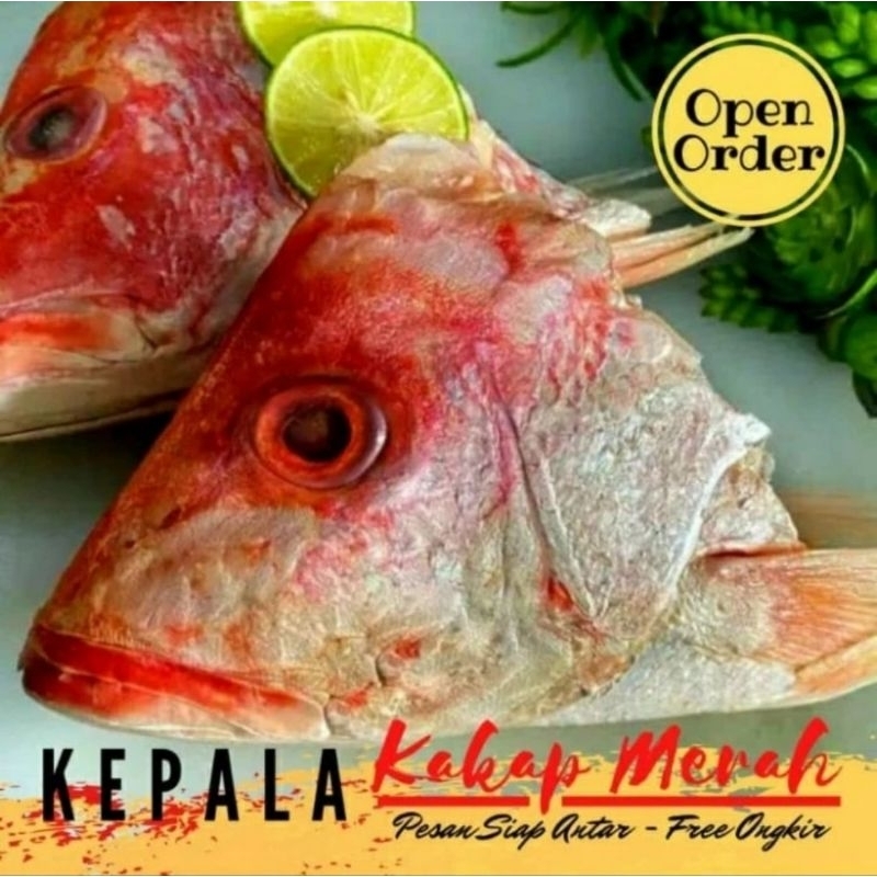 

KEPALA IKAN KAKAP merah fresh