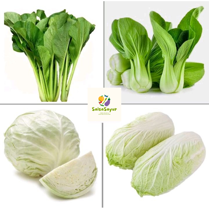 

Sayur Sawi hijau / Sawi Putih / Kol / Pakcoy
