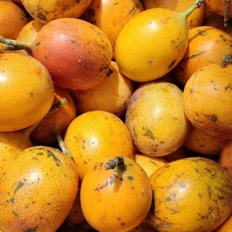 

buah markisa madu konyal 1kg