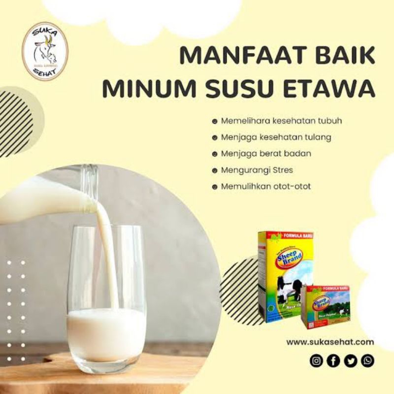 

susu kambing etawa