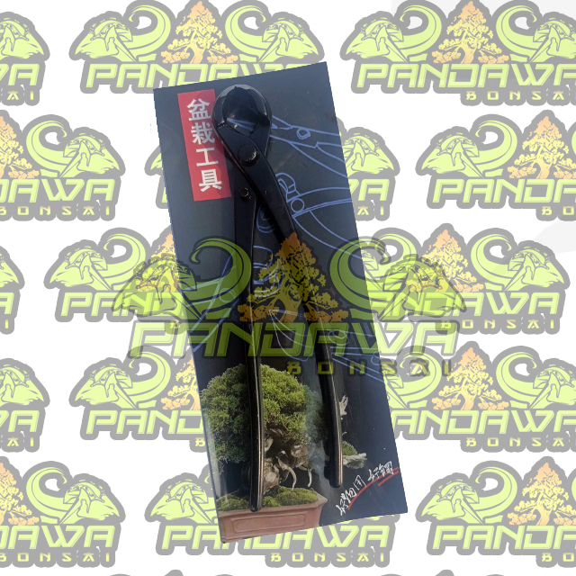 PANDAWA BONSAI-ALAT BONSAI catok bonsai Cembung import 21cm
