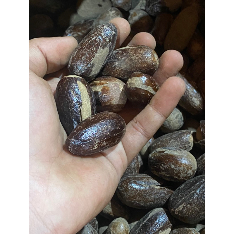 

Biji Pala Kocak Lonjong / Nutmeg /Biji Pala Utuh Ada Kulit Kemasan 500gr