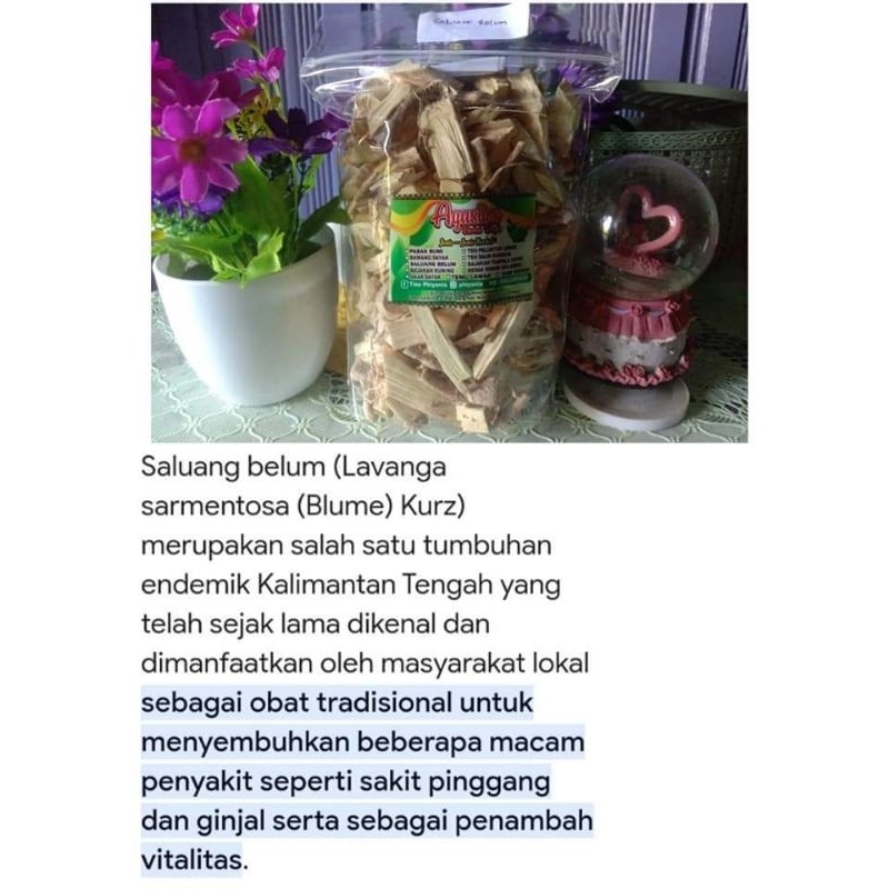 

saluang belum herbal dayak