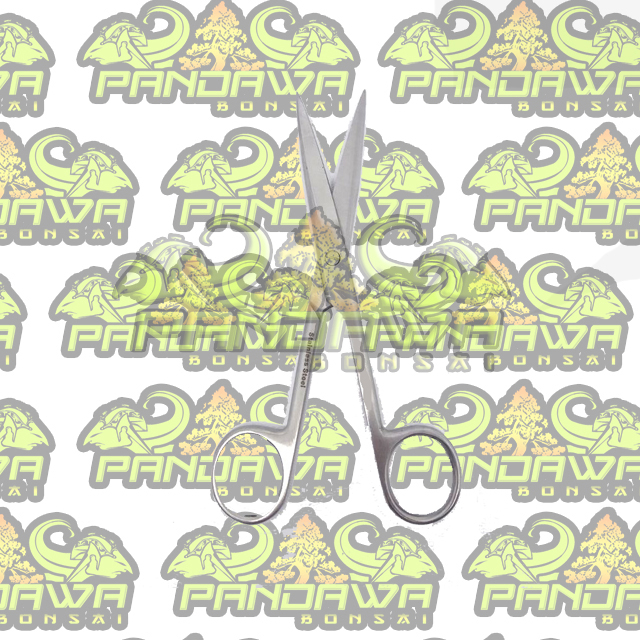 PANDAWA BONSAI-ALAT BONSAI gunting pruning mame & shito Stainless murah