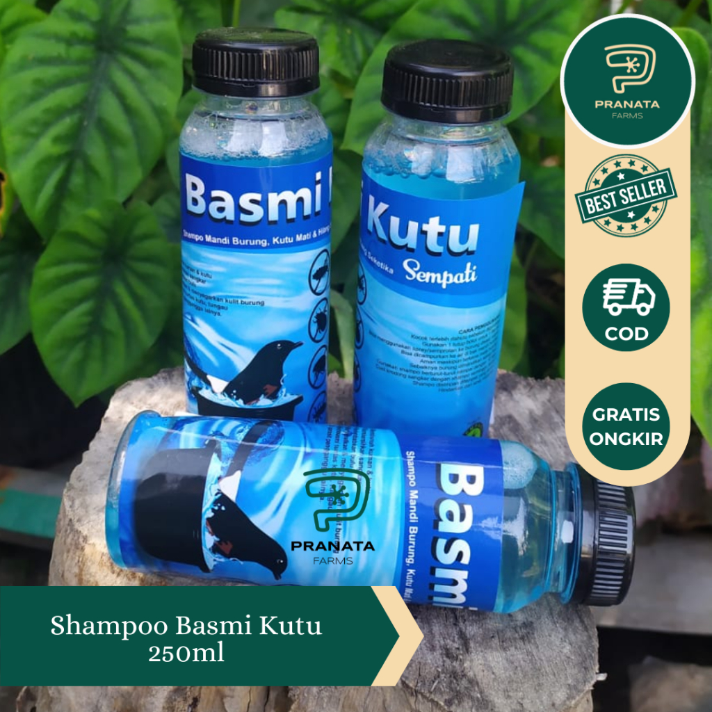 Shampoo Basmi Kutu Sempati, Ampuh Basmi Kutu Burung, Shampoo Basmi Kutu Hewan Peliharaan