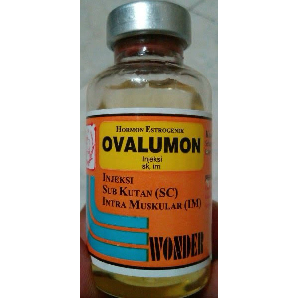 ovalumon wonder hormon sapi kambing betina birahi