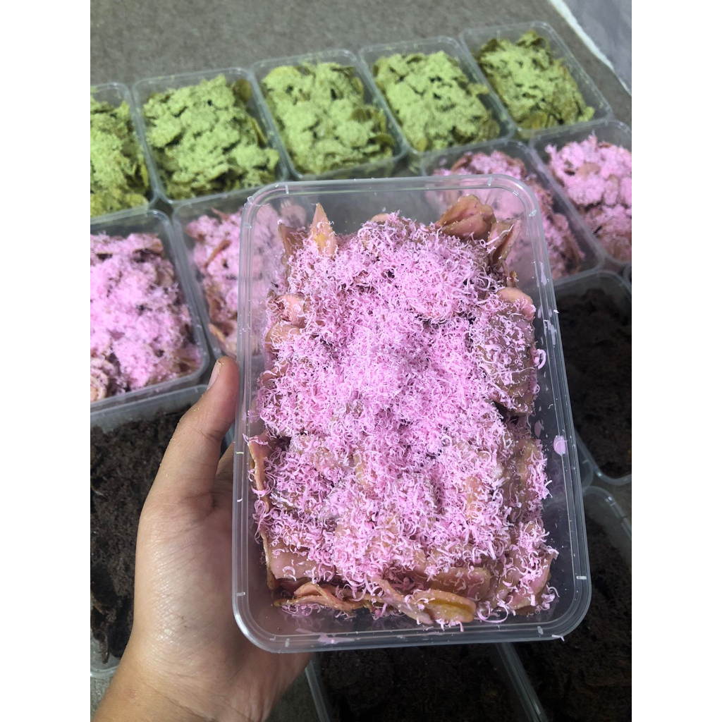 

Kripik Pisang Strawberry Lumer Bebas Gula 250gram