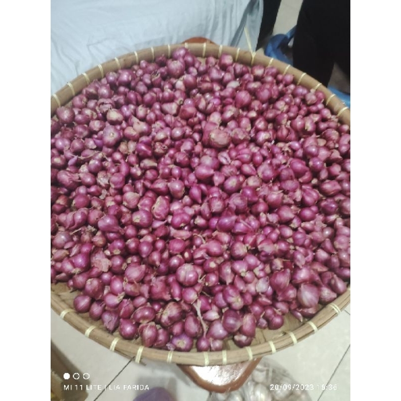 

bawangmerah1kgsuper