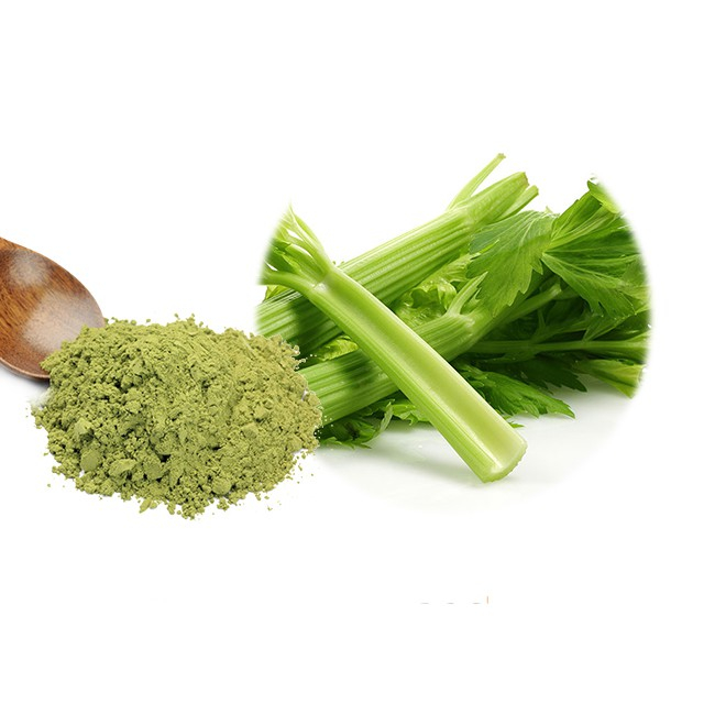 

SGS Bubuk Seledri 500 g Celery Powder Simplisia Serbuk Kering Sledri
