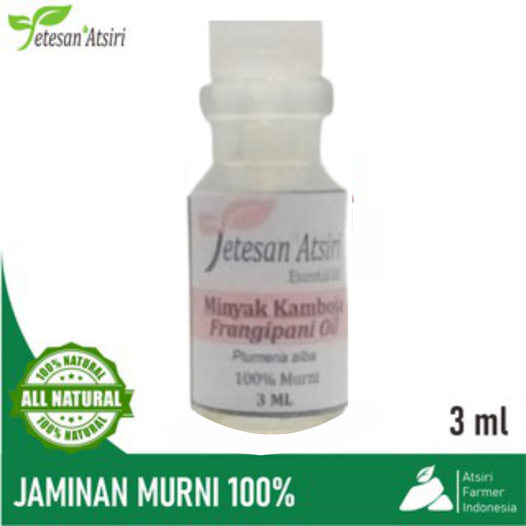 3ml minyak atsiri bunga kamboja murni frangipani pure essential oil aromatherapy therapeutic grade d