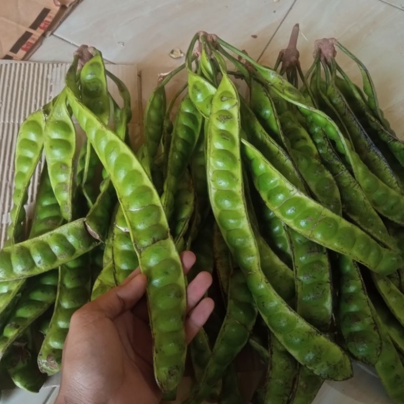 

PETE SEGAR paket hemat 1 ikat ( isi 15 papan)