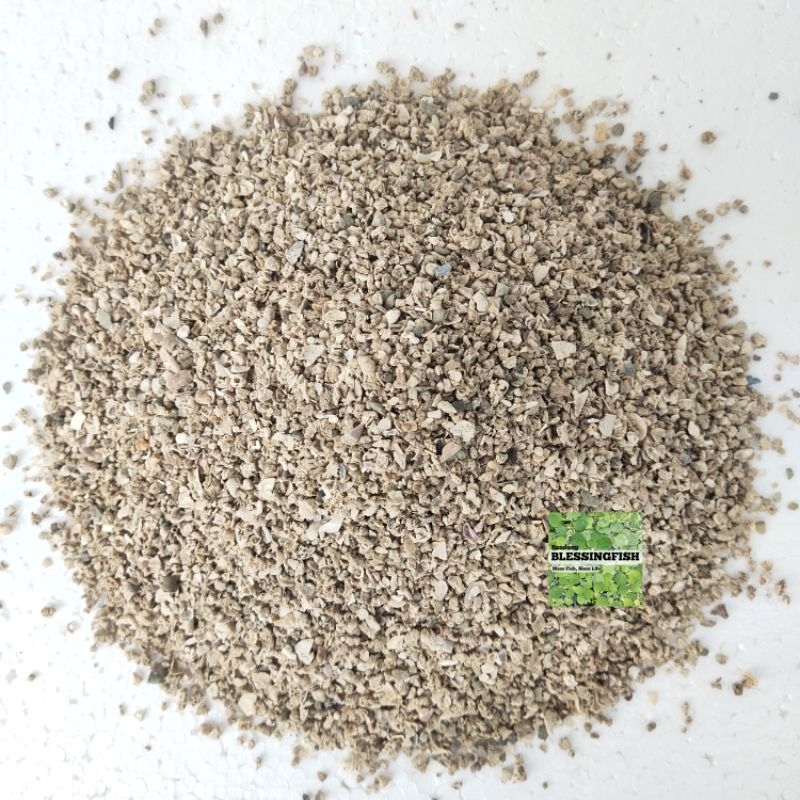 Pasir Kerang Halus Pasir Kerang Kecil Pasir Kerang Hias Pasir Kerang Pasir Kerang Hiasan Aquarium Aq
