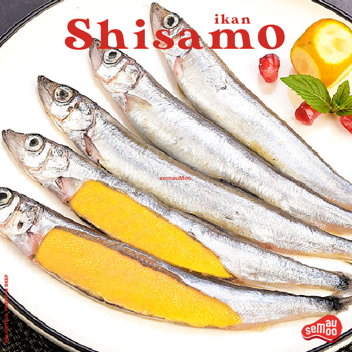 

Ikan Shisamo Capelin Fish Full Telur Import