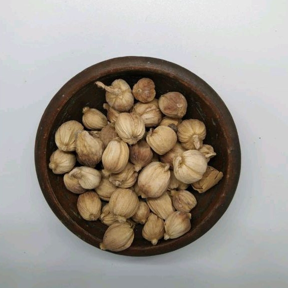 

Kapulaga | Rempah JSR | Rempah Masak | Kapulaga 50g