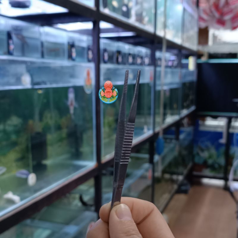 Pinset 10cm 25cm Jepit Makanan Ikan