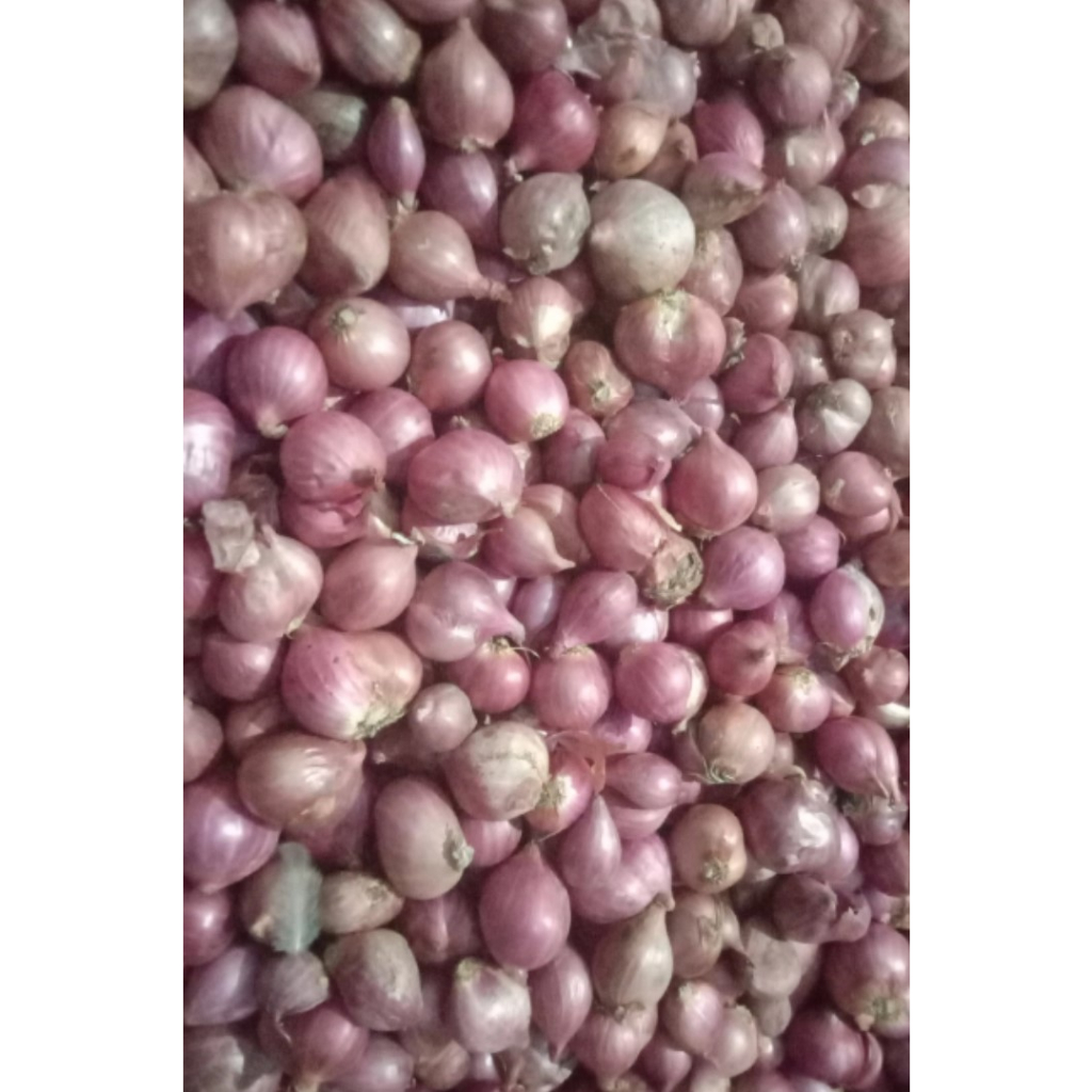 

Bawang Merah
