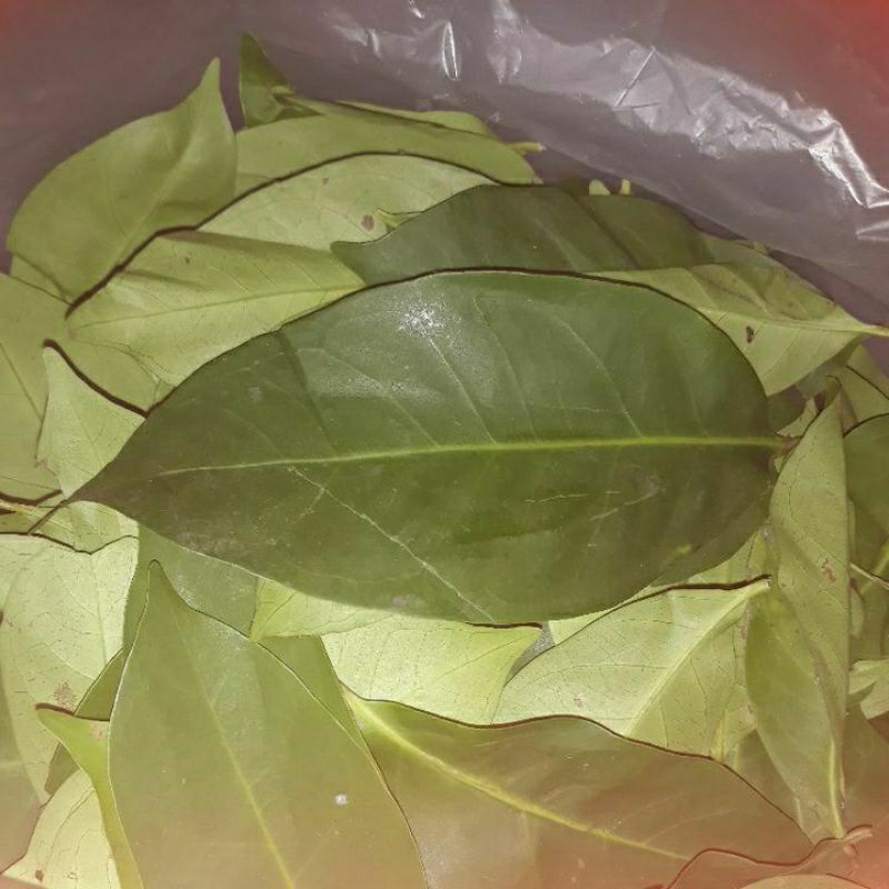 

daun salam per pack