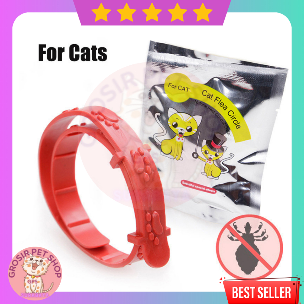 Kalung Anti Kutu / Kalung Anjing Kucing / Kalung Anti Kutu Kucing Anjing