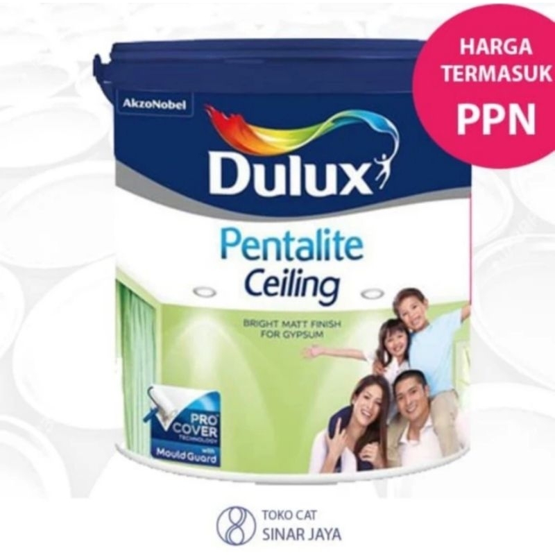 Dulux Pentalite Ceiling 25kg White