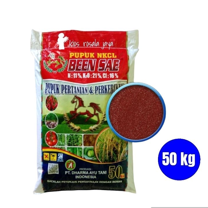 Pupuk NKCL BEEN SAE 50 kg ORI