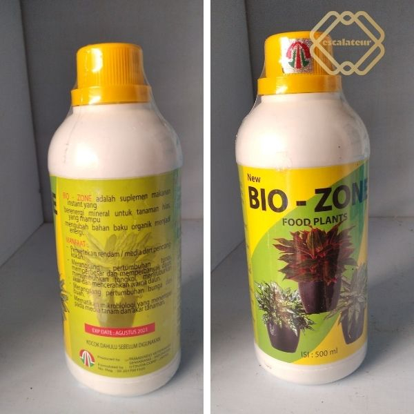 BIOZONE AGLONEMA 500 ML
