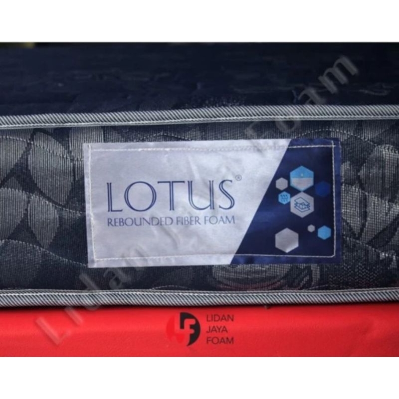kasur busa central lotus