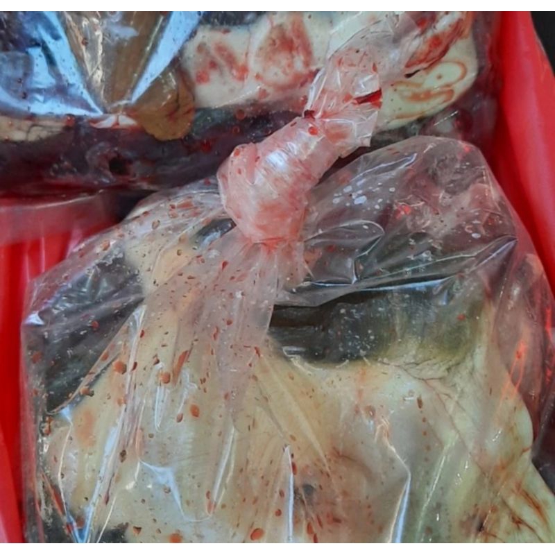 Daging Pio/Labi-LabiPotong 1 Kg Fresh