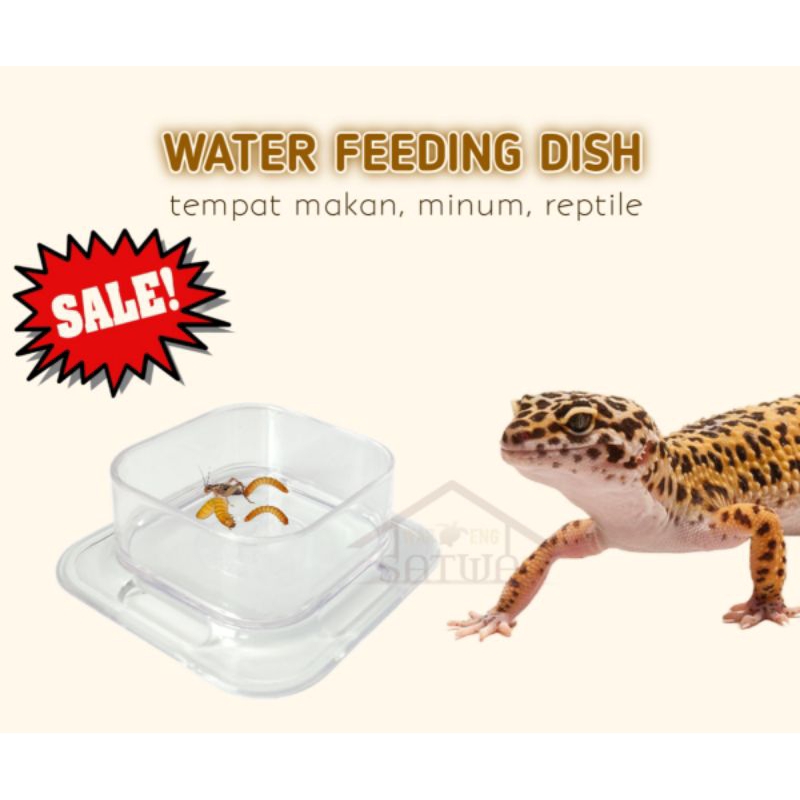 WATERDISH FEEDING DISH KALSIUM GECKO TEMPAT MAKAN MINUM TOKEK REPTILE KECIL INSECTA KALAJENGKING TAR