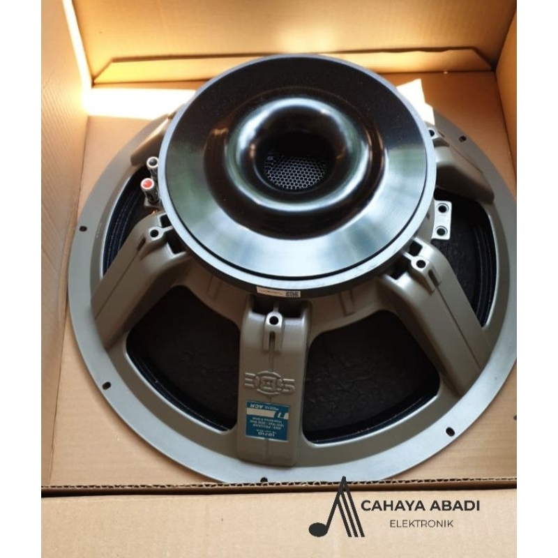 speaker ACR 18inch DELUXE 18710