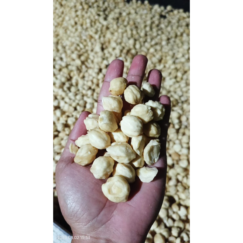 

kemiri panggang dengan kualitas terbaik
