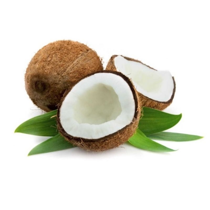 

Desiccated coconut (Kelapa Parut Kering)