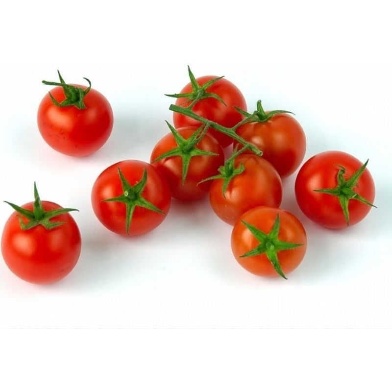 

Tomat Sayur/tomat sambal