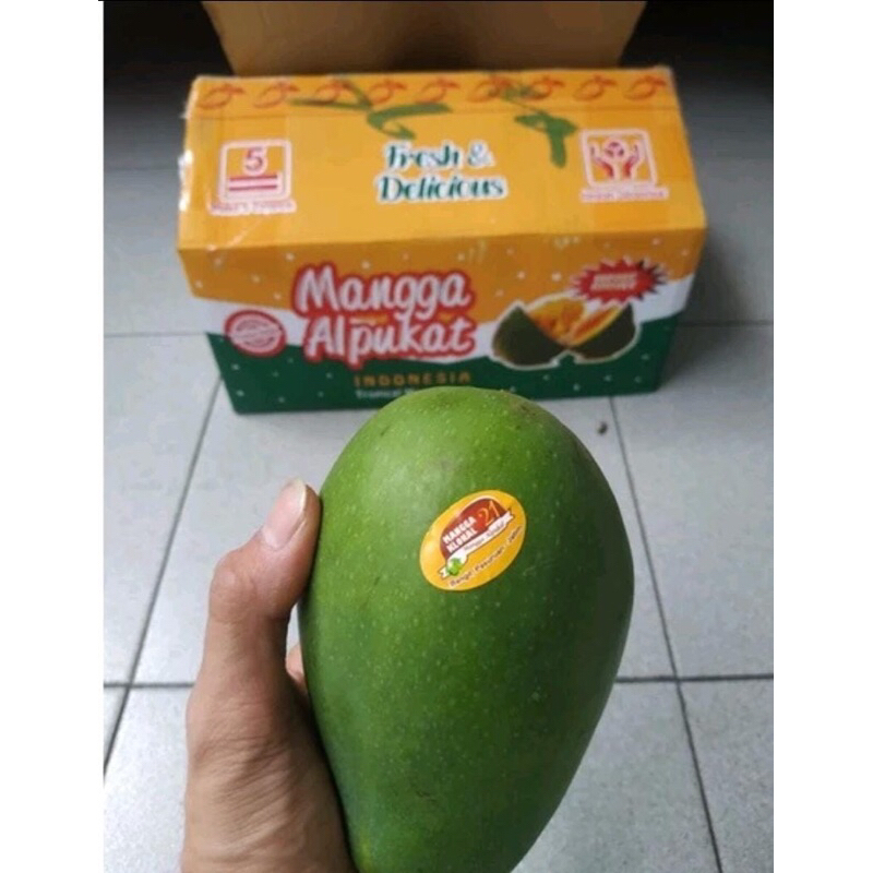 

Mangga Alpukat 1 DUS (5 KG) Fresh