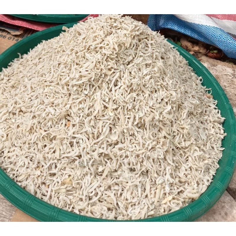 

Ikan Terinasi Medan Tokoikanramai