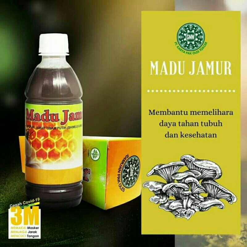 Madu Jamur Ramuan Pak Oles Tokcer madu kolesterol asam urat