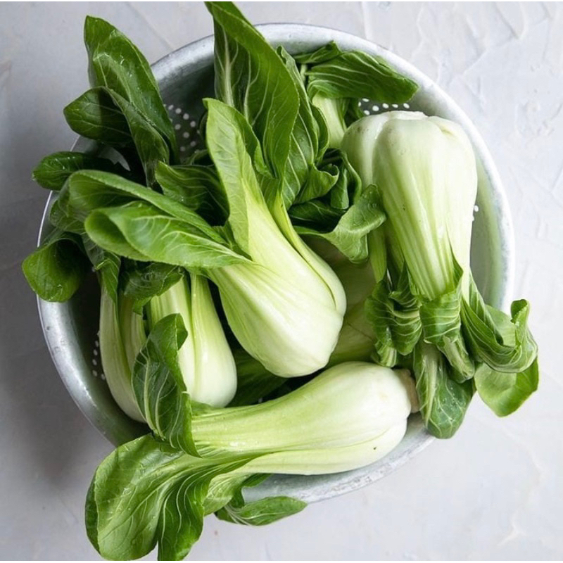 

Baby Pakcoy Sawi Sendok Mini