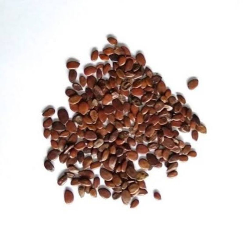 

Lamtoro / Petai Cina 1kg