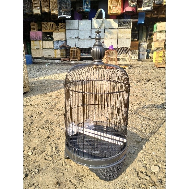 SANGKAR KANDANG LOVEBIRD PENDEK.