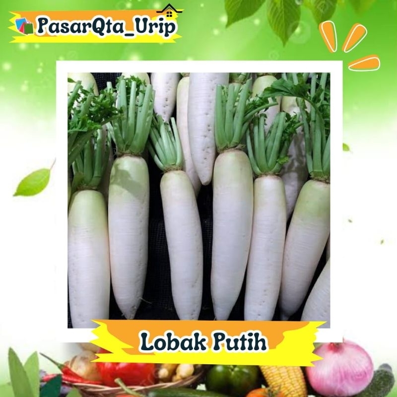 

Lobak putih / pasar sayur Makassar/ Pasar online makassar