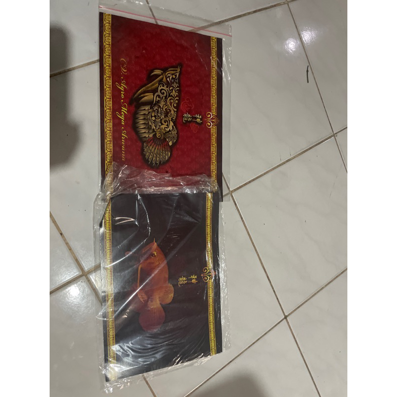 

sertifikat SR + Chip