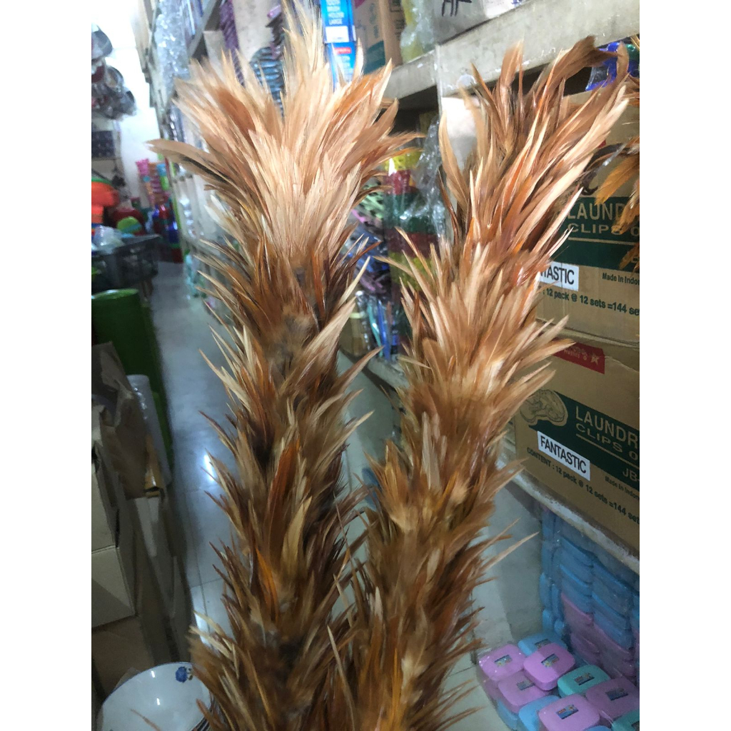 Kemoceng Bulu Ayam Asli RRT