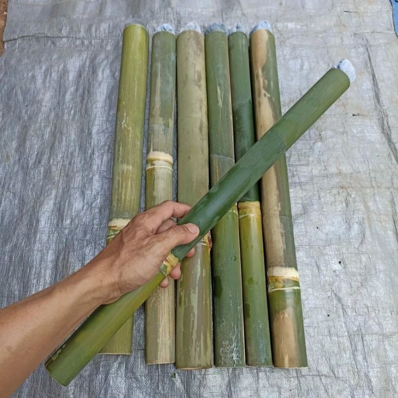 Bambu obor/ obor bambu / coleng bambu / Bambu penerang / Obor 50 cm