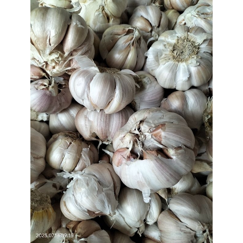 

Bawang Putih / Bawang Sinco 500gr