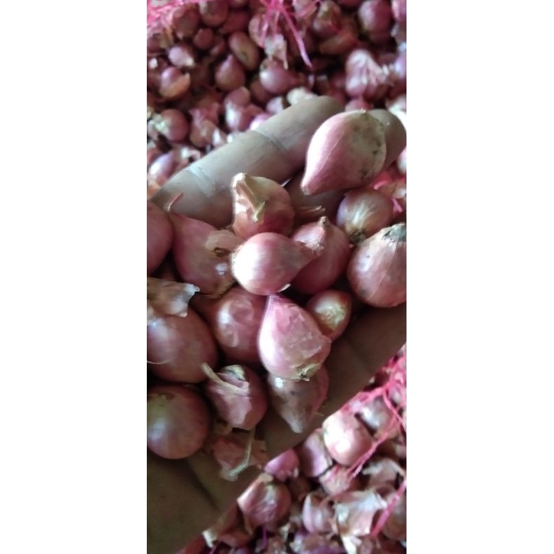 

bawang merah 1kg