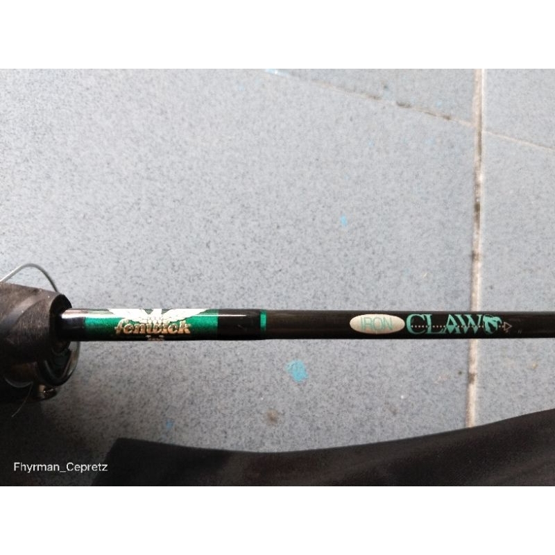 Fenwick iron claw 180