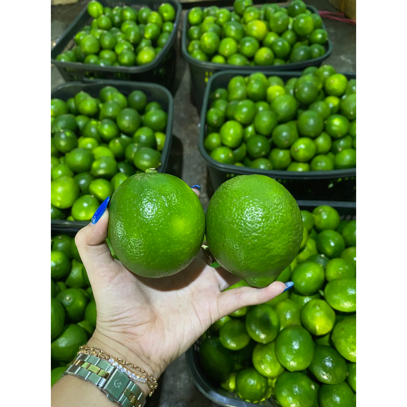 

LEMON CALIFORNIA HIJAU 1KG