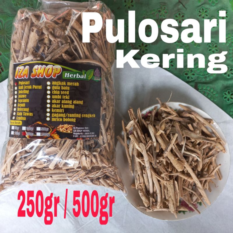 

Pulosari Kering 500gr