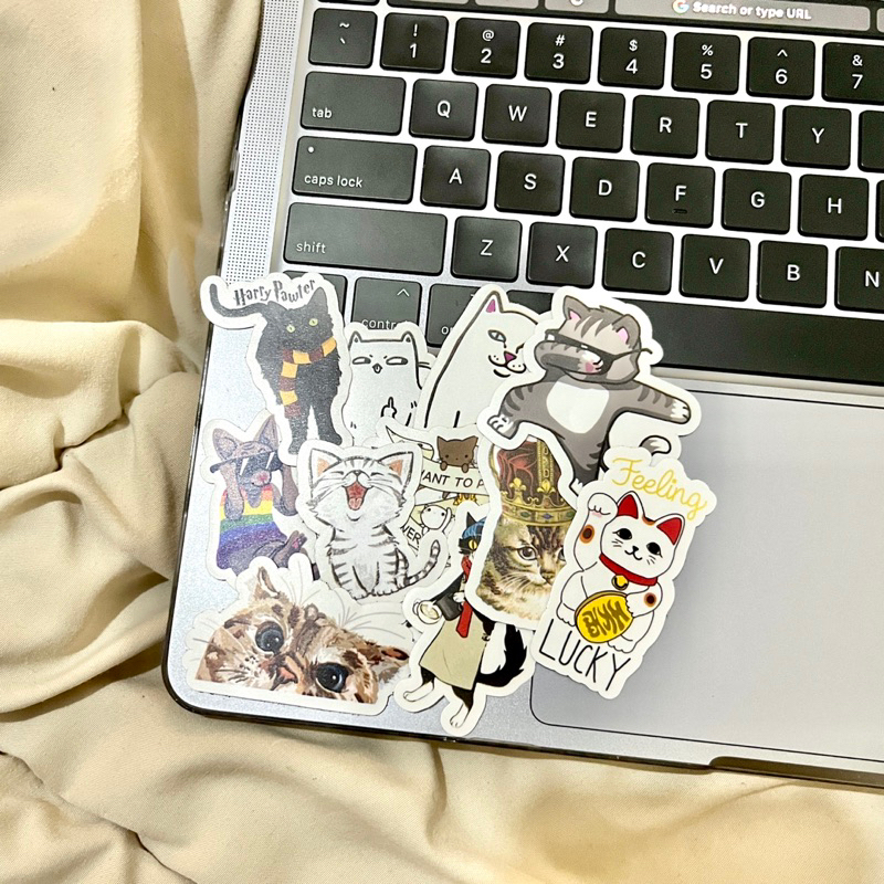 

[10 PCS] STICKER VYNIL - CAT PACK | STIKER VINIL UNTUK LAPTOP CASE HP TUMBLR BINDER DECO DEKORASI AESTHETIC ESTETIK MEME LUCU ANTI AIR WATERPROOF VYNIL MATTE KUCING CAT LUCU MURAH